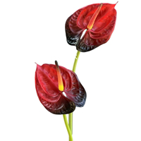 Fleur artificielle Anthurium rouge en gel souple A8 Real Touch pour les centres de table de mariage et les arrangements floraux de décoration intérieure