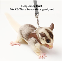 Tali Kekang Kulit Grosir untuk Hewan Kecil seperti Sugar Glider, Hamster & Golden Silk Bear - Penggunaan Luar Ruangan, Mencegah Melarikan Diri & Gigitan, Dapat Digunakan Kembali