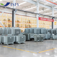 Transformador Eléctrico de Distribución de 100 kVA Trifásico S11 Sumergido en Aceite de Potencia Toroidal 50/60 Hz