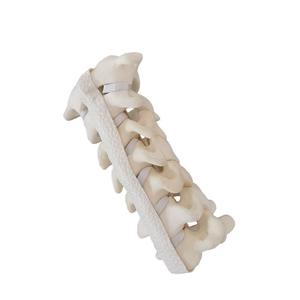 Modèle anatomique de la colonne cervicale C1 à C7 en mousse solide KyrenMed pour la pratique de la chirurgie orthopédique - Product Image 1