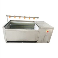 Machine de nettoyage de têtes et de sabots de porcs, machine de nettoyage de têtes et de sabots de moutons, machine de nettoyage multifonctionnelle à rouleaux brosse