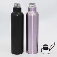 Botella Deportiva Aislada Unisex de 750 ml con Asa, Logotipo Personalizado, Acero Inoxidable al Vacío, Tapa de Plástico, Libre de BPA, a Prueba de Fugas, Térmica de 12-24 Horas