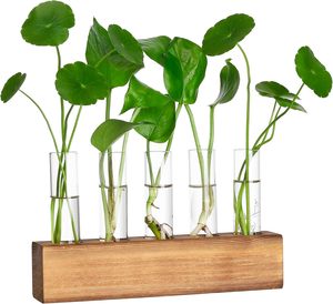 Stations de propagation, terrarium pour plantes avec support en bois, 5 vases en verre en forme de tubes à essai, cadeaux d'anniversaire pour femmes, mamans, amateurs de plantes - Product Image 1