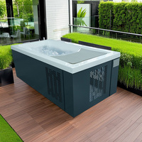 Baignoire de Plongée Froide de Luxe et Baignoire à Glace avec Système de Refroidissement pour le Bien-être et la Récupération Haut de Gamme