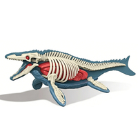 Kit de modèle de squelette de stégosaure 3D, dinosaure à assembler soi-même, anatomie du tyrannosaure, jouet éducatif STEM pour enfants