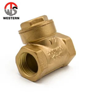 China Hersteller preis ISO228 Standard Dn80 Bronze Sanitär Messing Horizontal Rückschlag ventil 1"