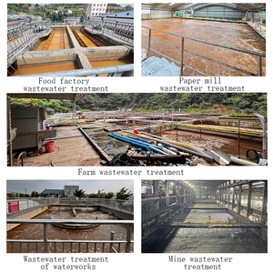 Da Qian Polyacrylamide Anion cation Pam bột chất làm đặc xử lý nước thải công nghiệp flocculant hóa chất phụ trợ đại lý - Product Image 3