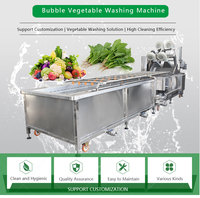 Gelgoog Groente Verwerking Machine Sla Wassen Lijn Fruit Tomaten Wassen Lijn