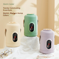 Mini-casserole électrique portable 110V, petite marmite électrique intelligente pour bouillie et soupe, pour les États-Unis et le Canada