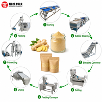 Productielijn voor gemberpoeder, gemberverwerkingsmachine, specerijenpoederslijn, gembersnijmachine, specerijenpoederproductielijn