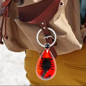 Real Bugs Insects Animals In Resin Water Drop Shaped Horror Real Scorpion Resin Keychain