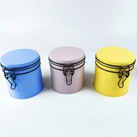 Boîte de rangement en fer pour grains de café et biscuits, colorée, en fil d'acier de couleur macaron, de qualité alimentaire