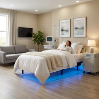 Fabrik-Bestseller: Robuster, aufladbarer RGB-LED-Licht-Schwebebeträger mit Fernbedienung – Eisenbett für Schlafzimmer