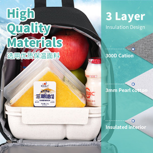 Simple Cycling Lunch Bag Thickened Insulated Shoulder Crossbody Oxford Cloth Outdoor Bento Bag - Product Image 2