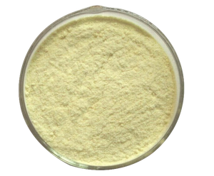 Fairir nguyên liệu giá bán buôn của tự nhiên Kava chiết xuất từ rễ bột 30% 70% kavalactones bột với giá tốt nhất - Product Image 1