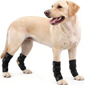 Soportes de Rodilla Antideslizantes de Neopreno para Perros, Ligeros, Transpirables y de Ajuste Seguro para Patas Traseras, Ideales para Perros Activos y en Recuperación - Product Image 1