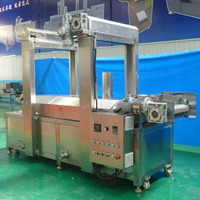 Friteuse industrielle continue pour la production de chips et de snacks