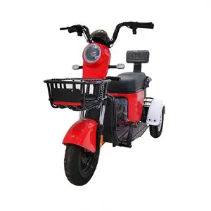 Quality Warranty electric Closed Approved Motor 3 Wheels Tricycle Adults for elderly use