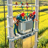 Transformateur de distribution de puissance triphasé immergé dans l'huile Taishun S11 200KVA 50/60Hz 6.3kV 10kV