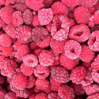 Iqf Bevroren Verse Frambozenfruit Bevroren Frambozen Bulkstijl Verpakking Cif Fca Fob Cfr Exw