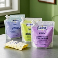 Sac d'emballage de recharge de savon liquide 1L 3L imprimé personnalisé paquet de doy pour Gel douche détergent à vaisselle détergent à lessive soins de la peau