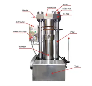 6Yz-180 Automatically Cocoa Butter Hydraulic Machine 150Kg/H Oil Press Oil Extractor Oil Press Cooking Niger Seeds