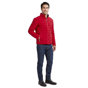 Custom Logo Outdoor Lightweight Warm <b>Men's</b> Winter Puffer <b>Jacket</b> Canvas Fabric Stand Collar High Street Style Front Cotton Filled - Product Image 1