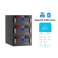 Batterie LiFePO4 en rack 25,6 V 100 Ah (2,56 kWh) pour stockage solaire avec BMS RS485/CAN Bluetooth/WiFi, 6000+ cycles, 16 unités en parallèle