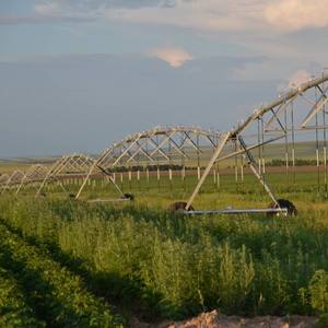 Máquina de Riego de Pivote Central con Alta Relación Calidad-Precio para Pequeños Agricultores y Grandes Plantaciones Agrícolas - Product Image 3