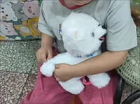 Laisse de traction en peluche moderne et écologique pour petits chiens, motif dessin animé mignon, réglable et souple