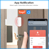 RSH Détecteur de Fenêtre Intelligent Tuya Wifi, Capteurs de Contact de Sécurité de Porte d'Épaisseur pour Smart Life, Capteur de Porte Wifi Compatible Alexa Google