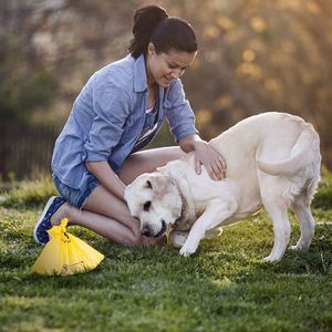 Eco Friendly Custom Logo 100% <b>Compostable</b> Leak Proof Biodegradable Dog Poop Waste <b>Bag</b> - Product Image 6