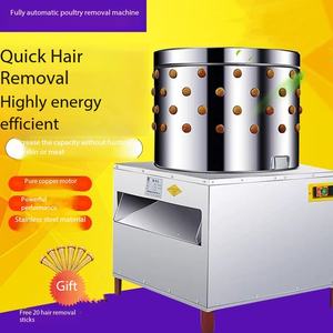 Máquina Desplumadora <span class=keywords><strong>de</strong></span> Aves <span class=keywords><strong>de</strong></span> Corral Tipo Tambor <span class=keywords><strong>de</strong></span> Alta Eficiencia con Motor, Capacidad <span class=keywords><strong>de</strong></span> 600bp/h para Procesamiento <span class=keywords><strong>de</strong></span> Carne <span class=keywords><strong>de</strong></span> Aves - Product Image 2