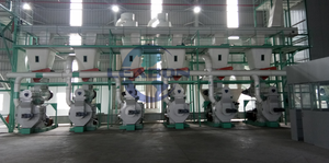 Ligne complète de production de granulés de bois CE 2-3 t/H Machine <span class=keywords><strong>à</strong></span> granulés de bois Moulin <span class=keywords><strong>presse</strong></span> Sciure de bois Ligne de production de granulés de bois - Product Image 6