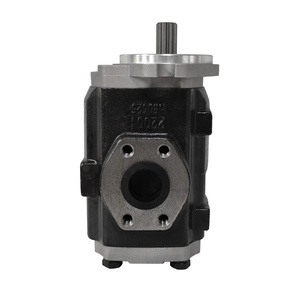 Kit de joints hydrauliques double pour pompe à engrenages Lifthydrau 20Mpa - Product Image 6