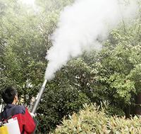 Pulvérisateur à essence agricole, atomiseur électrique pour pesticides, brumisateur de désinfection et prévention des épidémies