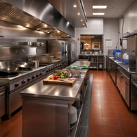 Équipement de cuisine d'hôtel commercial, ensemble complet, hotte de cuisson, réfrigérateur, 1 niveau, CE NSF, acier inoxydable 304