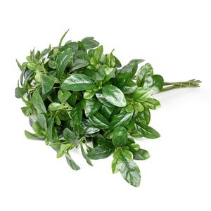 Hojas Artificiales Miniatura, Económicas y Modernas, Decorativas <span class=keywords><strong>para</strong></span> el Hogar y Jardín, Ramas de Hojas Artificiales <span class=keywords><strong>para</strong></span> <span class=keywords><strong>Chimenea</strong></span> de Pared - Product Image 2