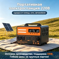 Batterie Externe Portable 220V au Lithium en Alliage pour Voiture, Prise de Courant pour Camping-Car, Cuisson, Ébullition d'Eau, Multifonction avec BMS