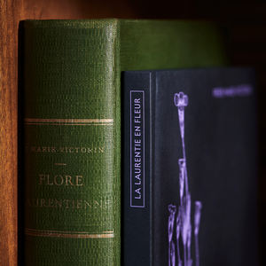 हार्ड कवर ए 5 आकार के फैंसी पेपर के साथ कहानी बुक डिजाइन सीवन बाध्यकारी कस्टम लोगो विकल्प - Product Image 6