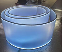 Bande lumineuse ultra-longue, flexible, mate, semi-opaque, lumineuse, style Song, esthétique, douce, en forme d'os de dragon, pour lustre de plafond