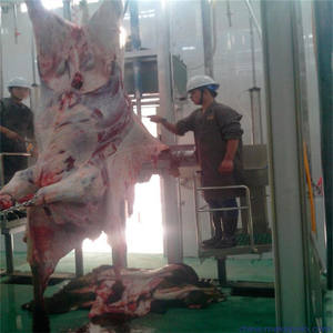 Machine à peler le cuir pour ligne d'abattage de bétail – Composants essentiels : Moteur, Pompe, Boîte de vitesses – Haute Efficacité, Automatique, Acier Inoxydable - Product Image 3