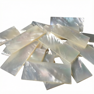 Lámina Rectangular Pulida de Nácar Natural con Incrustaciones de Concha, Acabado Lacado - Product Image 1