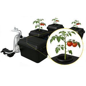 Nuevo Sistema de Cultivo Aeropónico en Cubetas de 4, 8 y 16 Sitios para Cultivo Interior de Tomates y Cáñamo - Product Image 4