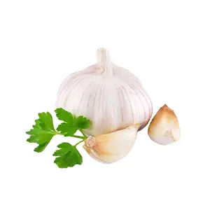 2023 New Crop Fresh Vegetable Suppliers Wholesale Import Shandong Fresh Garlic