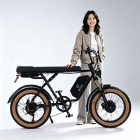 Vélo électrique de ville avec prise US/EU/AU, batterie lithium 48V, frein à disque hydraulique double sur moyeu arrière, pneu large 20 pouces, pour adulte, type VTT