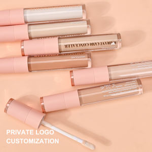 Correcteur <span class=keywords><strong>Pro</strong></span> Haute Couverture Correcteur Liquide Haute Définition Cosmétiques Correcteur Marque Privée Charnière - Product Image 1