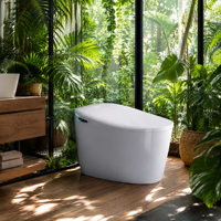WC intelligent sans réservoir, moderne et luxueux, personnalisé OEM, avec affichage LED, chasse d'eau automatique, bidet et télécommande