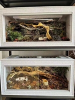 Kit de boîtier empilable pour reptiles-facile à nettoyer, compatible UVB pour les éleveurs de serpent/lézard/tortue/caméléon