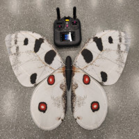 Juguete de Mariposa RC JIN PENG con Luces LED que Cambian de Color y Alas Móviles para Decoración de Bodas